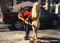 Holzmarkt 2018  In Jena 006